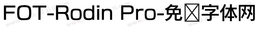 FOT-Rodin Pro字体转换
